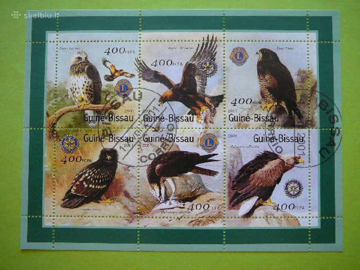 Pauksciai plesrus gbs234