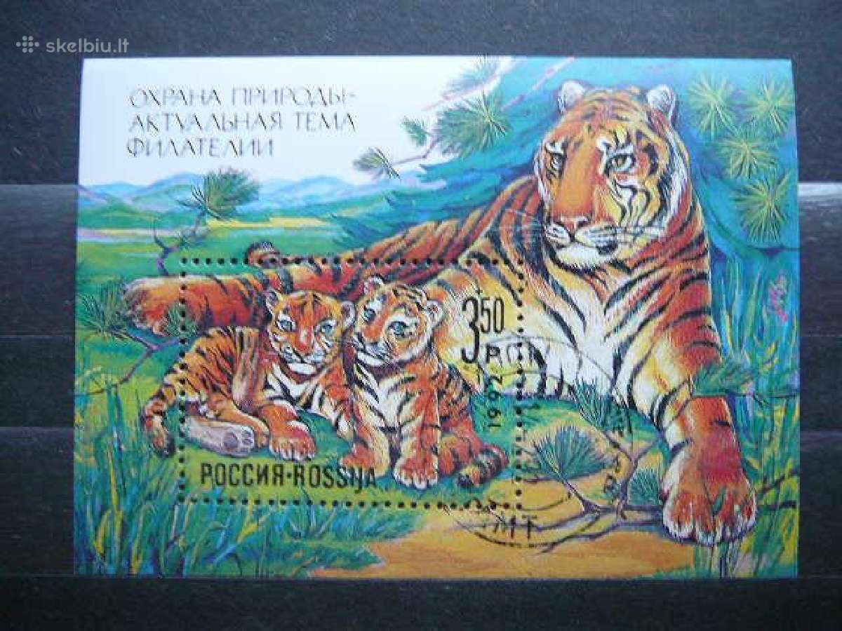 Tigrai Kates laukines Rusija 1992 antsp. ru223