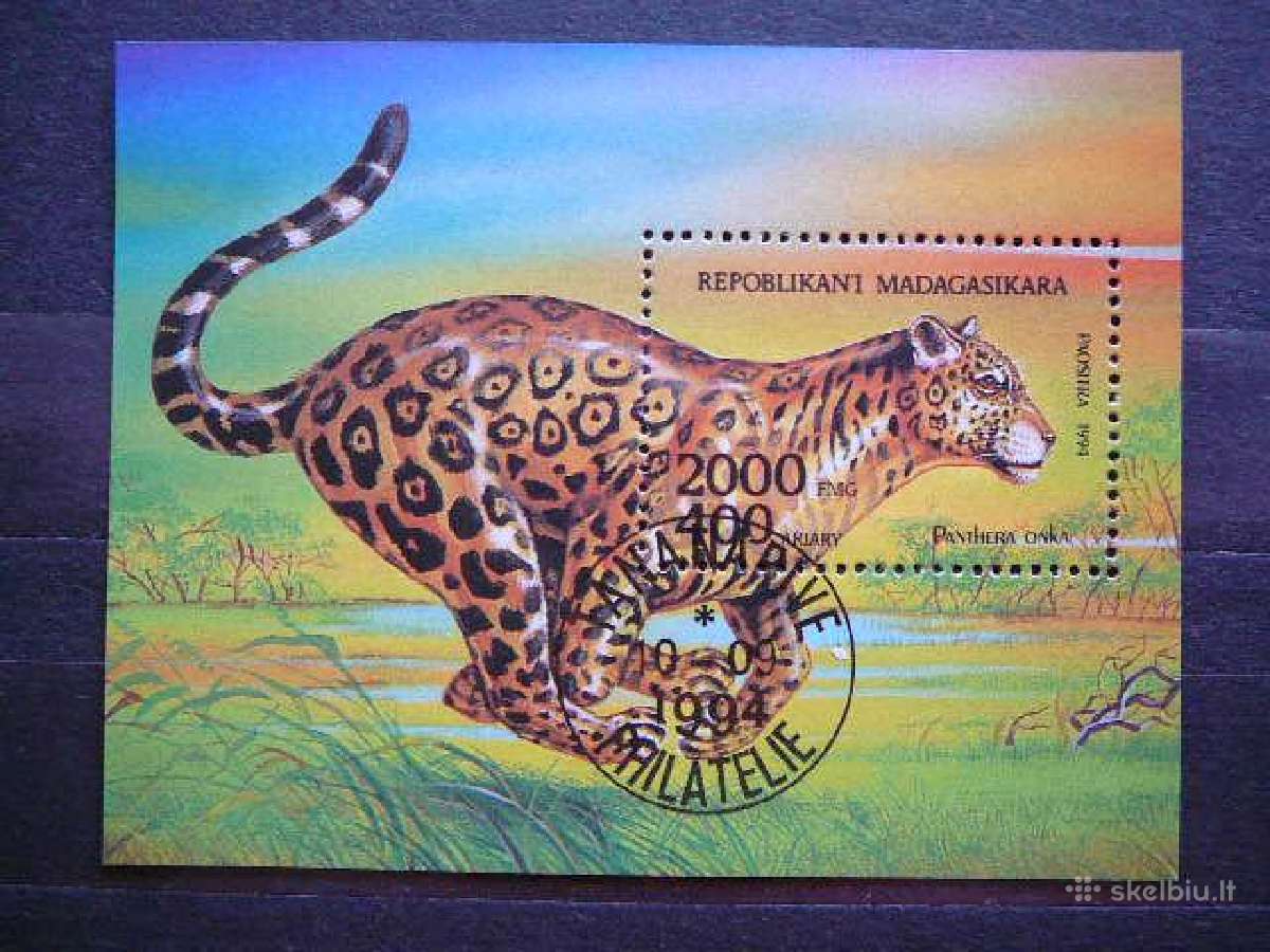 Panteros Kates laukines Madagaskaras 1994 mdg370
