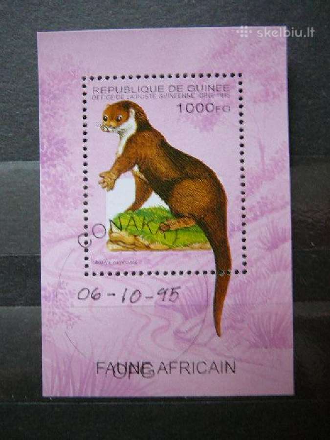 Zverys Afrikos Gvineja 1995 antsp. gvn372