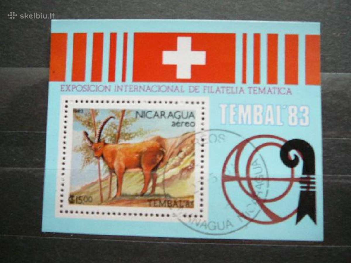 Zverys Nikaragva antsp. zvr373
