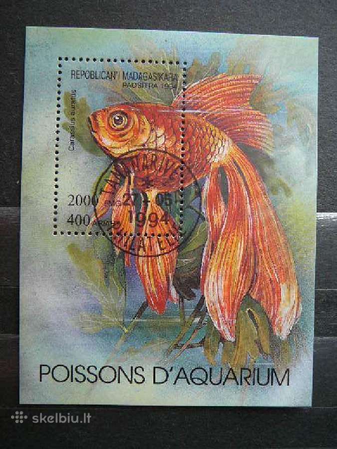 Zuvys Madagaskaras 1994 antsp. mdg375