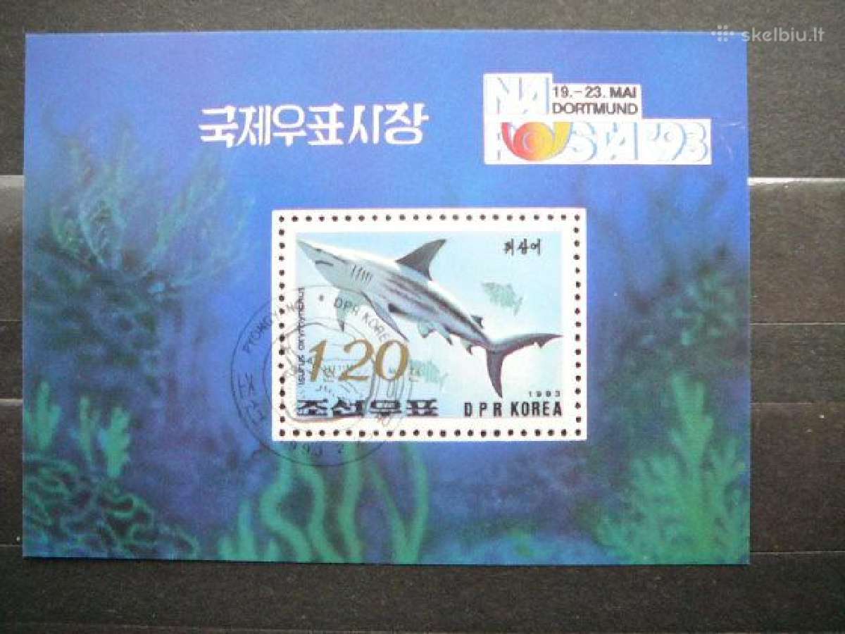 Rykliai Zuvys Koreja antsp. kr381