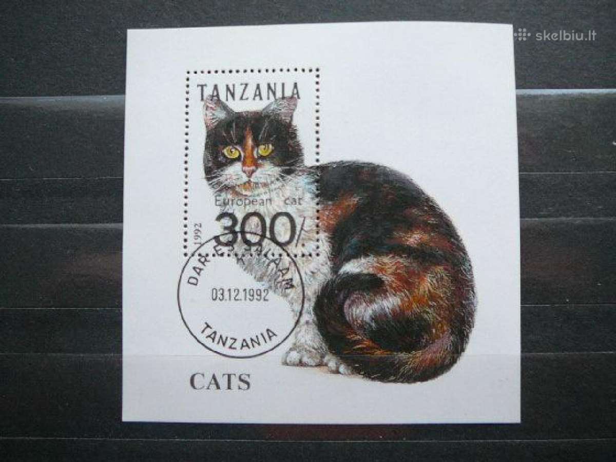 Kates Tanzanija antsp. cat225