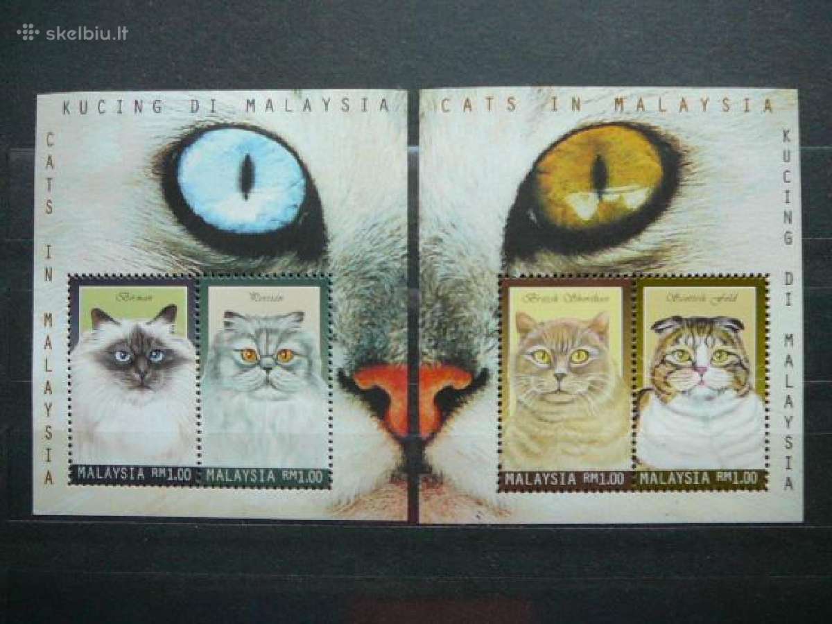 Kates Malaizija svarus cat227