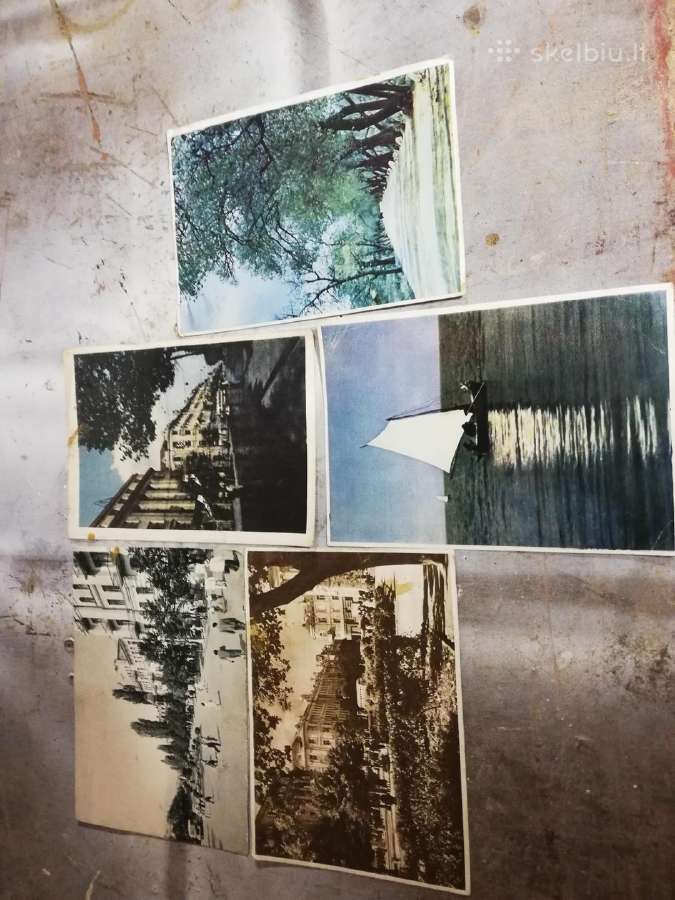 Albumas