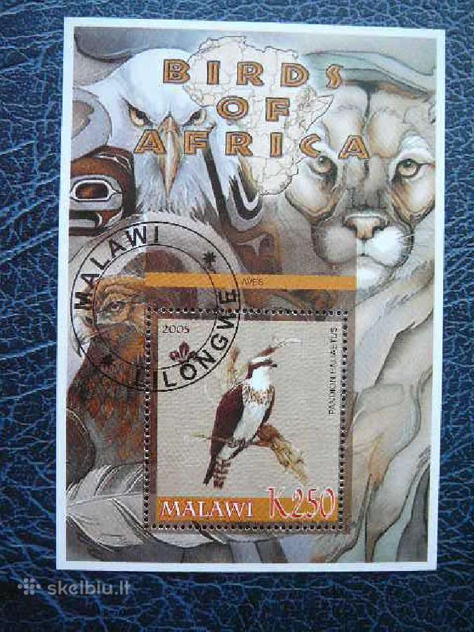 Pauksciai Afrikos antsp. mlw539