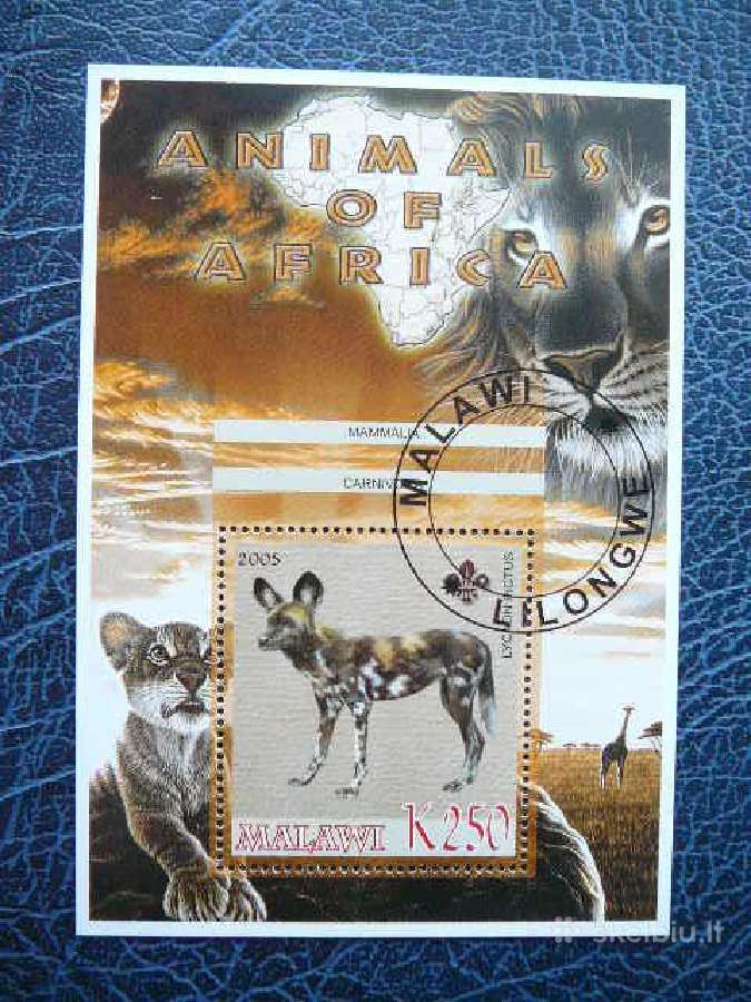 Gyvunai Afrikos #mlw546 | Skelbiu.lt Gyvunai Afrikos #mlw546