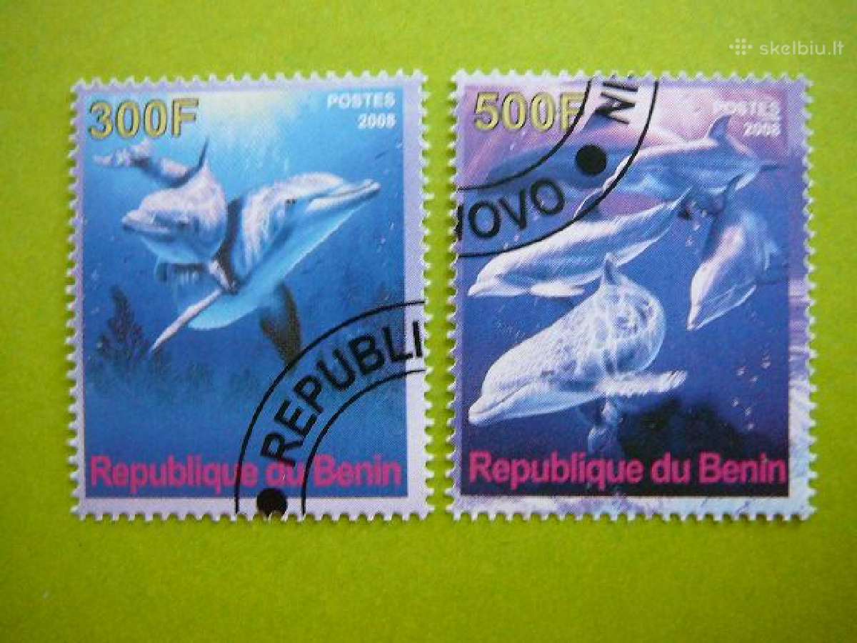 Delfinai #s0212 | Skelbiu.lt Delfinai #s0212