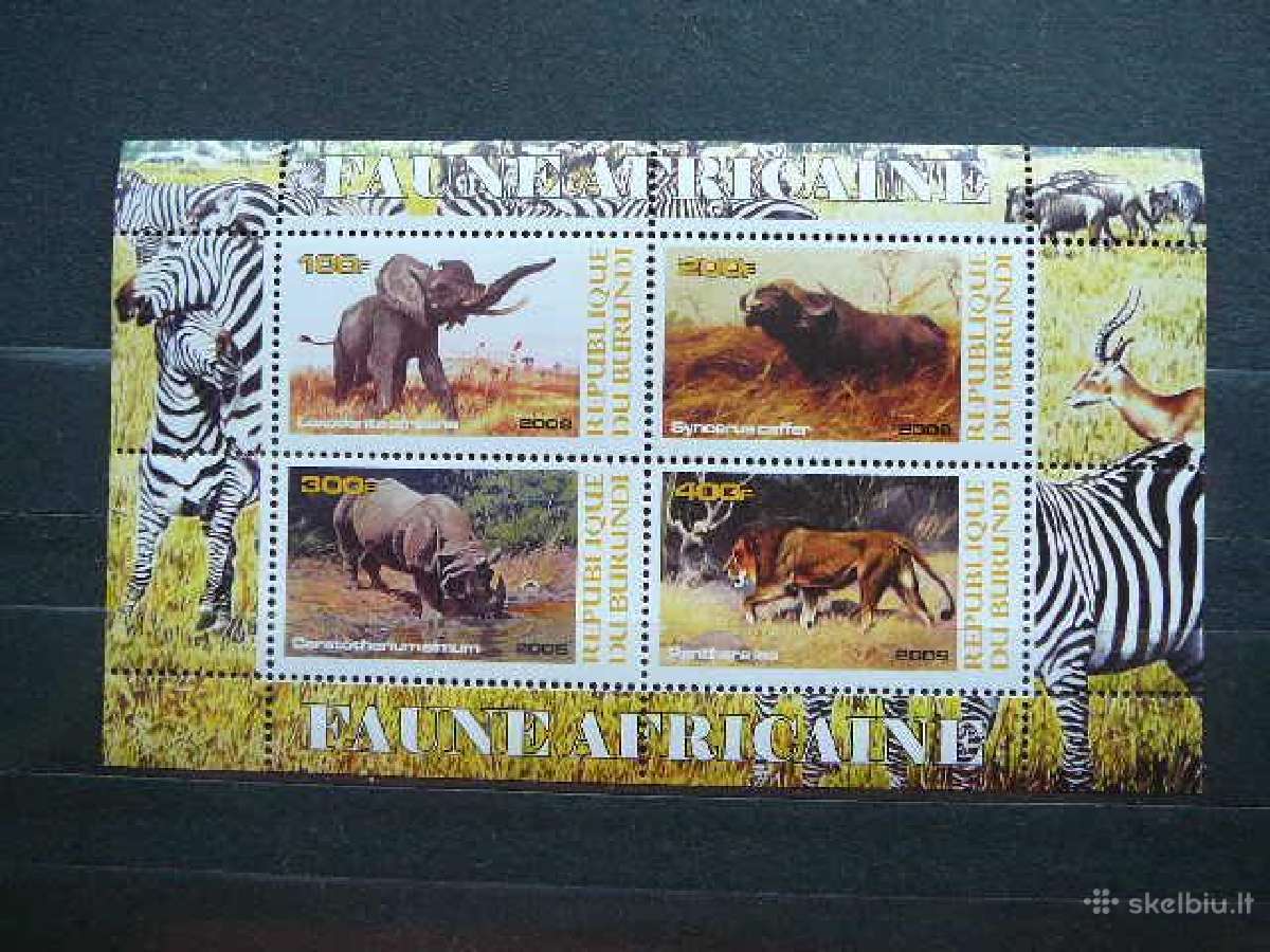 Zverys Afrikos svarus #g0050 | Skelbiu.lt Zverys Afrikos svarus #g0050