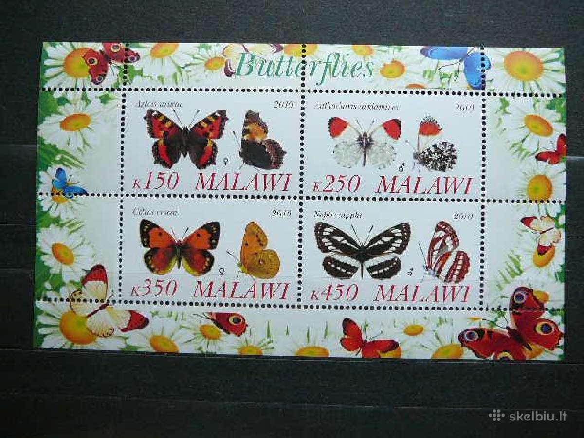 Drugeliai Malavis 2010 svarus g120a