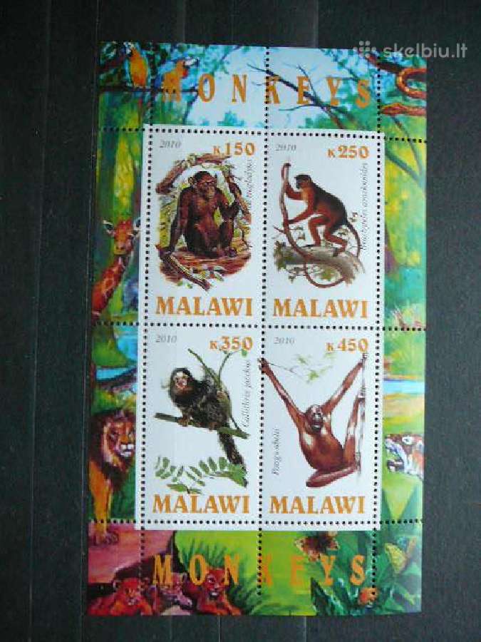 Bezdziones Malavis 2010 svarus g126a
