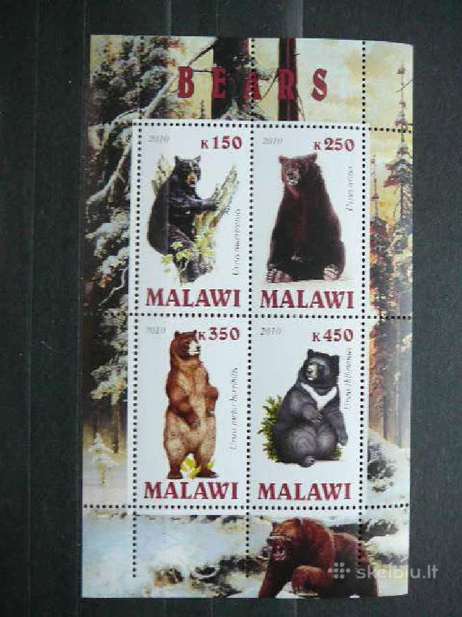 Meskos Malavis 2010 svarus g127a