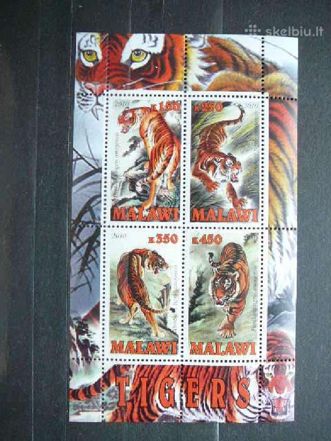 Tigrai Kates laukines Malavis 2010 svarus g123s