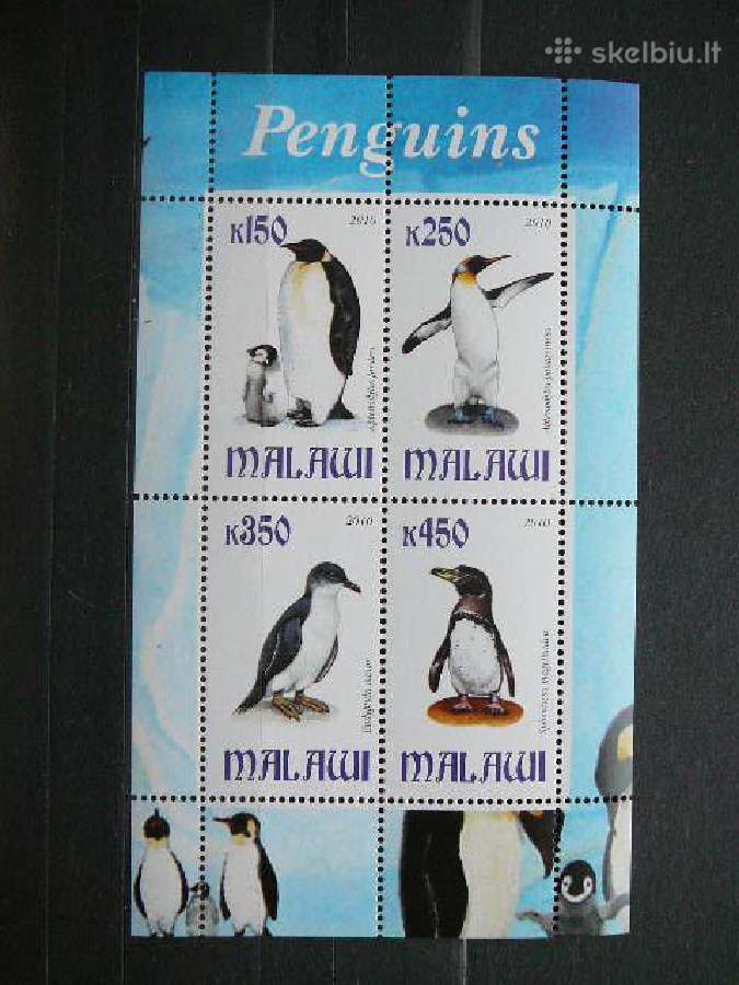 Pingvinai Malavis 2010 svarus g150s