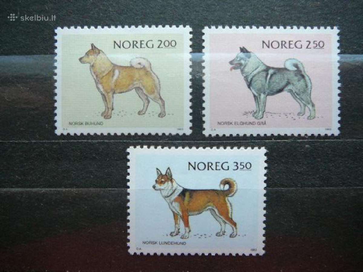 Sunys Norvegija svarus nrg455