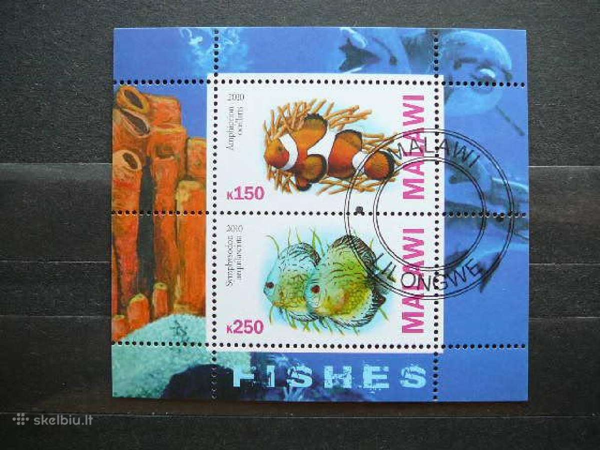 Zuvys Malavis 2010 antsp. g145