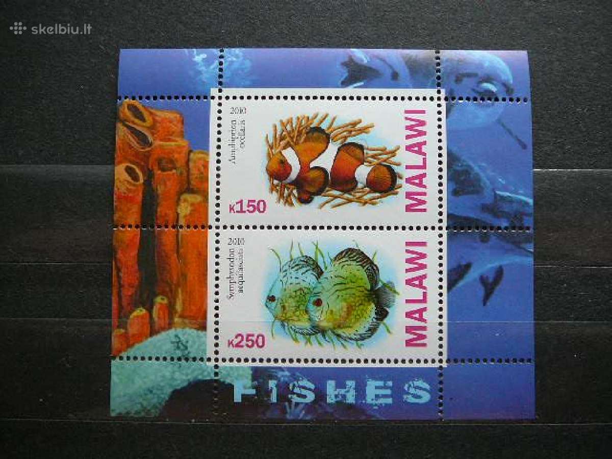 Zuvys Malavis 2010 svarus g145a