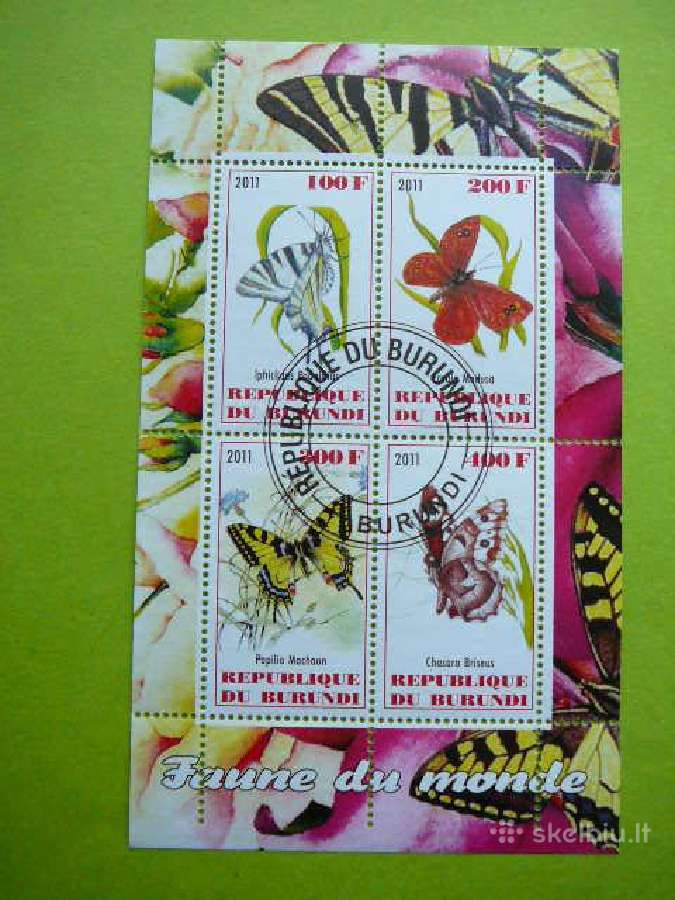 Drugeliai Burundis 2011 antsp. g325