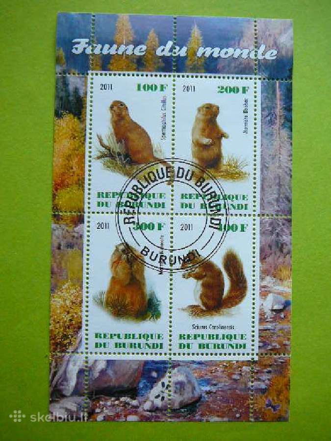 Bebrai Voveres Burundis 2011 antsp. g319