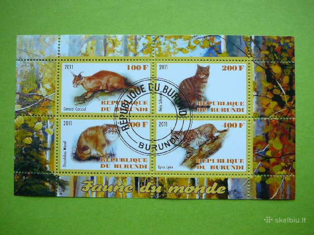 Kates laukines Burundis 2011 antsp. g318