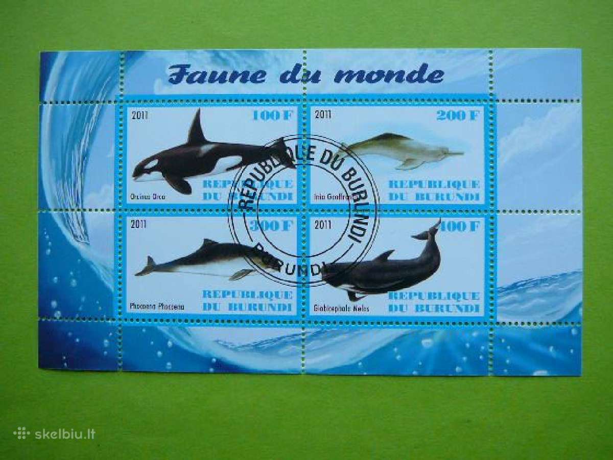 Banginiai Delfinai Burundis 2011 antsp. g316