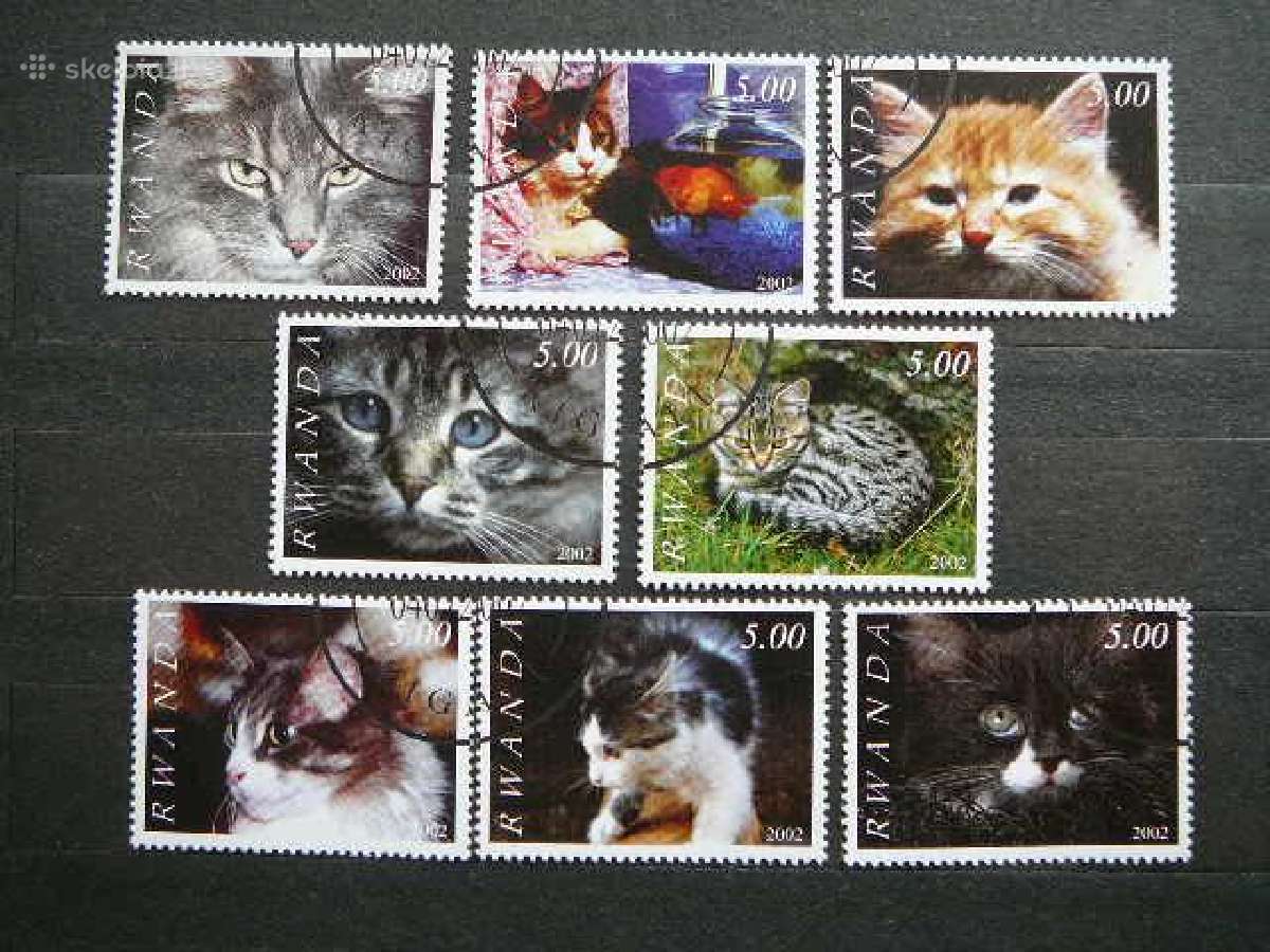 Kates Ruanda antsp. kat12