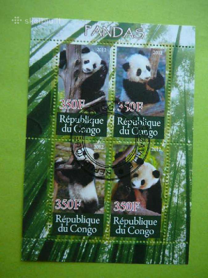 Pandos Meskos antsp. s1006