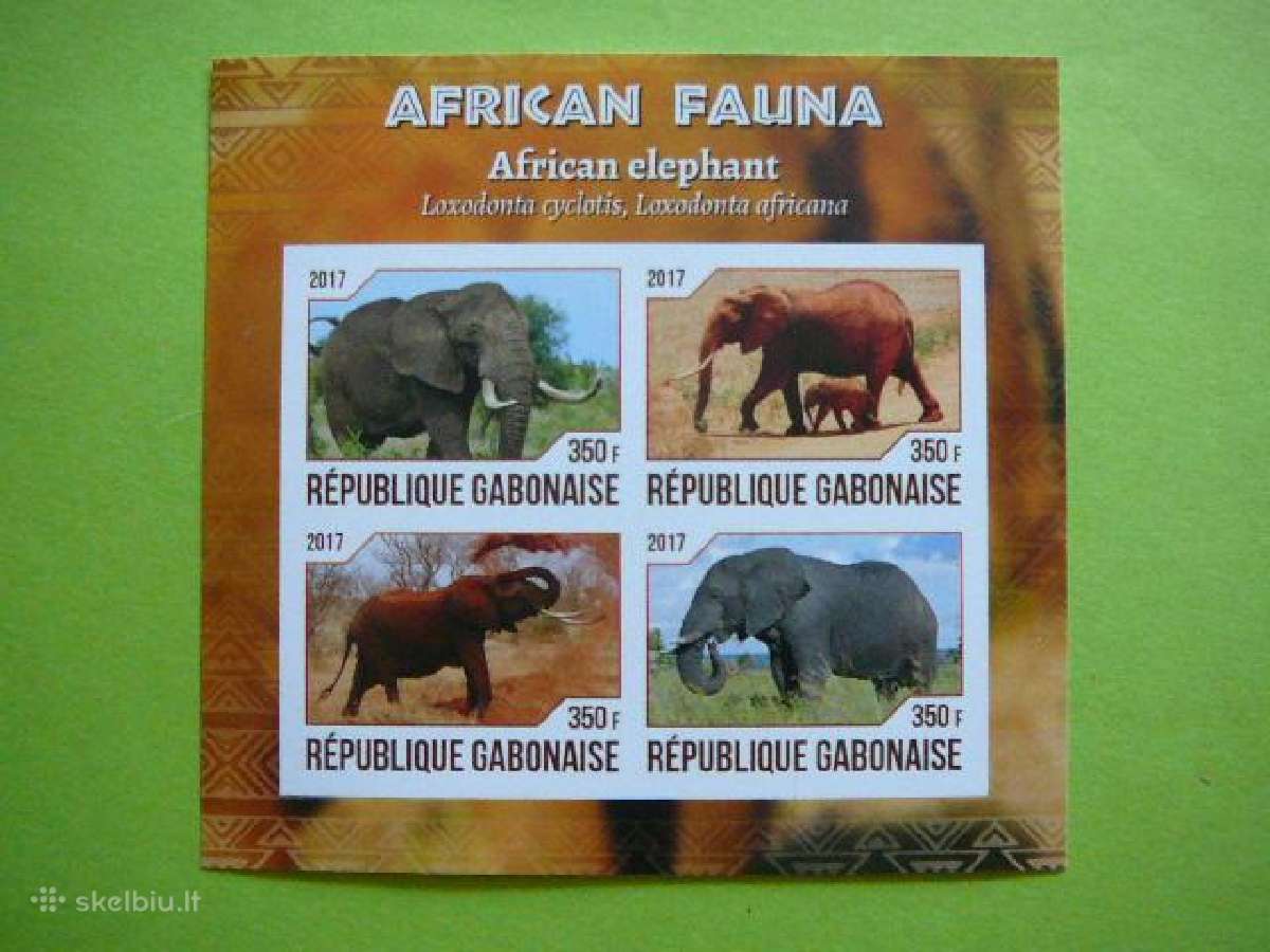 Drambliai Gabonas 2017 svarus gbn242b