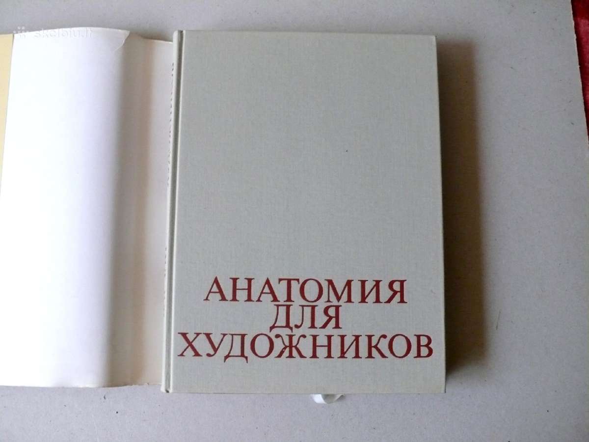 Анатомия для художников - nuotraukos Nr. 3