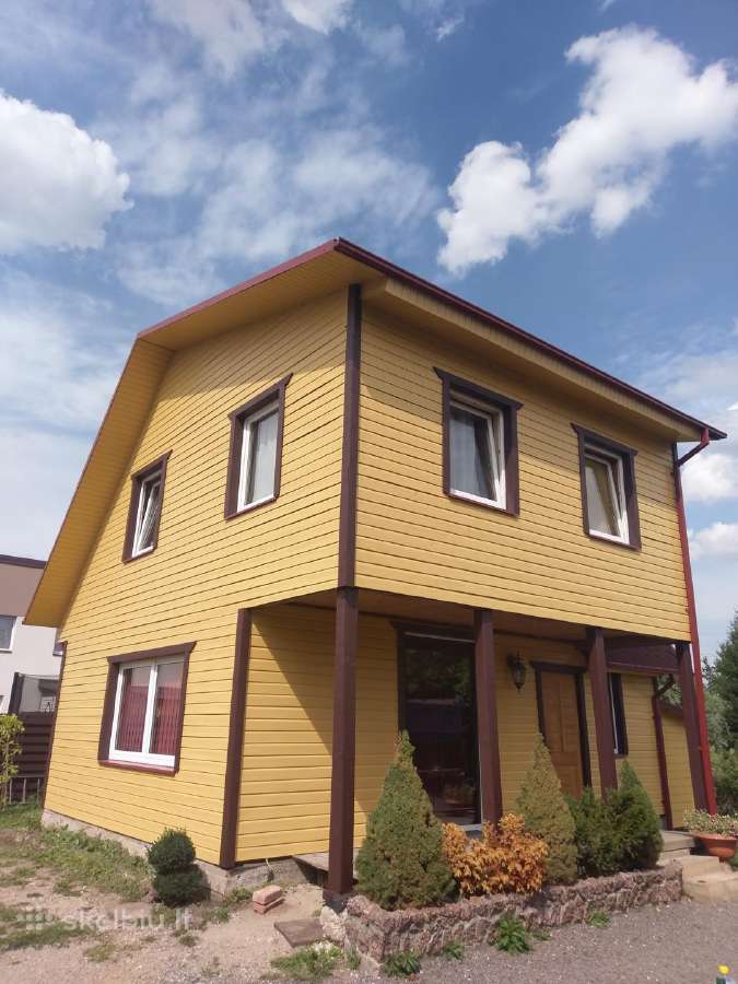 Mediniu namų, stogų ir fasadų dažymas. - nuotraukos Nr. 5