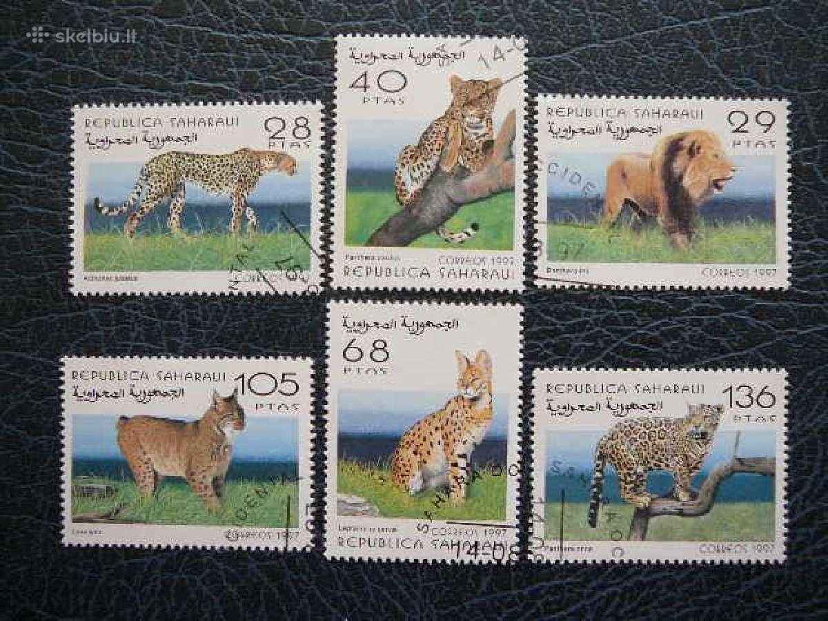 Kates laukines Sahara #zvr393