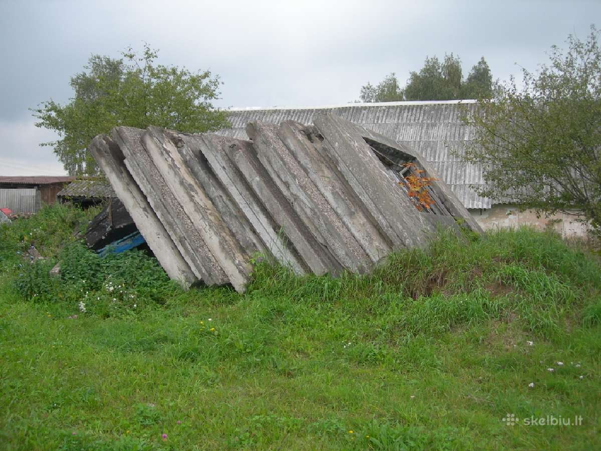 Sienu blokai - nuotraukos Nr. 7