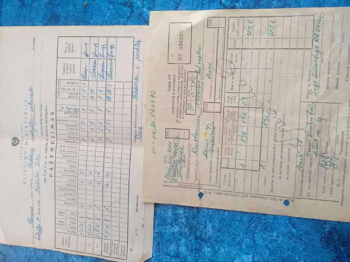 7 seni dokumentai - nuotraukos Nr. 3