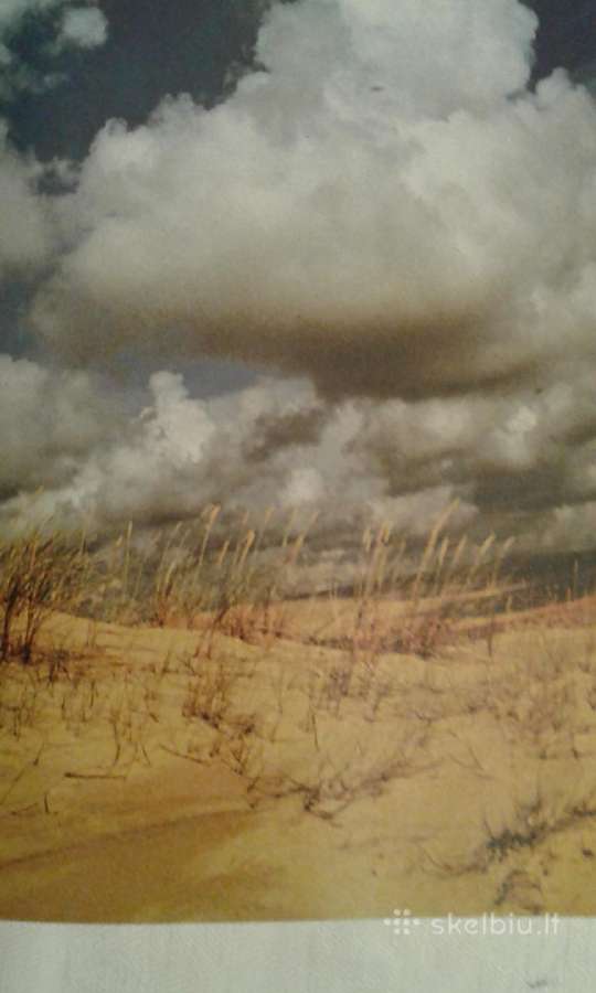 Kuršių Nerija 1990m/ pamilta ir nepamirštama / - nuotraukos Nr. 7