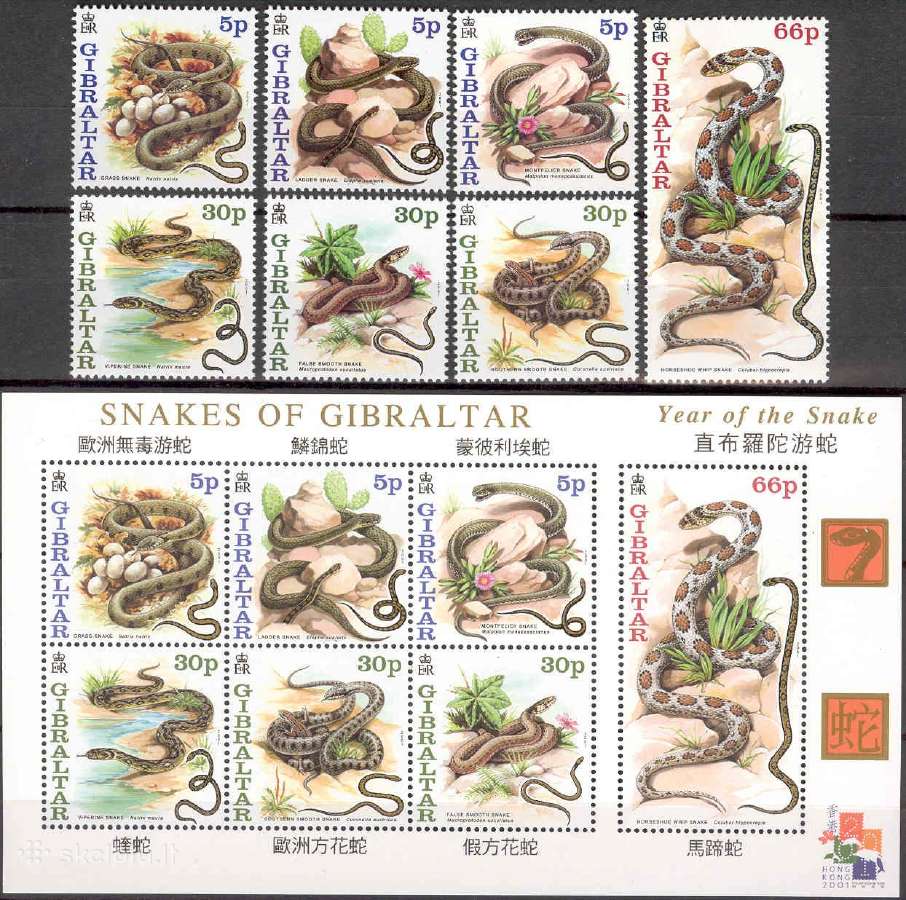 Gibraltaras 2001. Gyvatės metai.