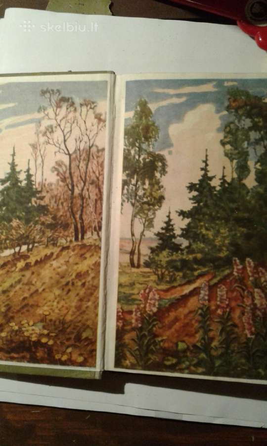 B. Vsesviatskis 1959 m. botanikios vad. - nuotraukos Nr. 2