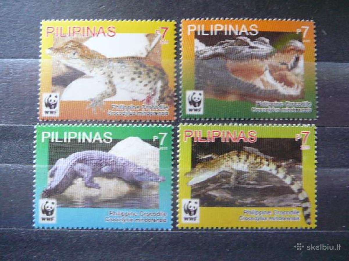Krokodilai Filipinai svarus krg822