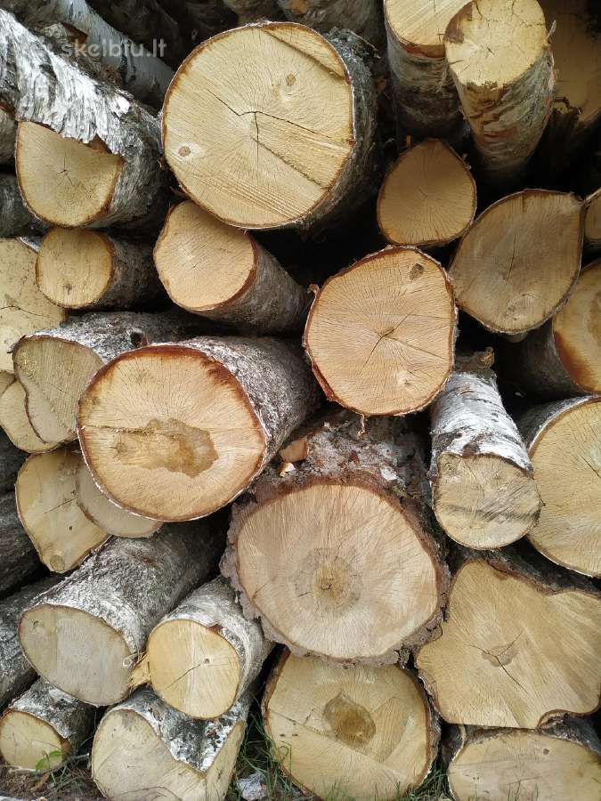 Malkos Panevėžio ir aplinkiniuose rajonuose - nuotraukos Nr. 8
