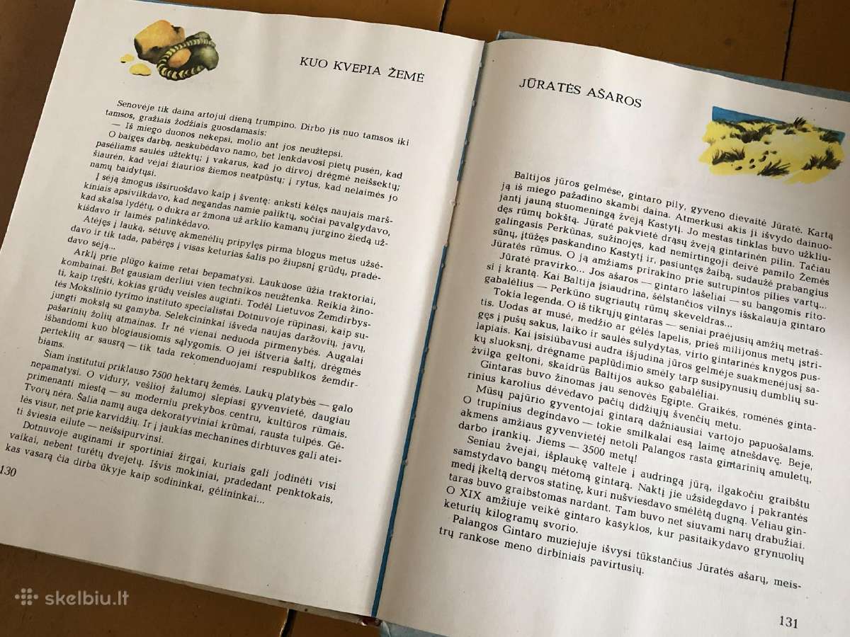 Mūsų šalis didžiulė - nuotraukos Nr. 4