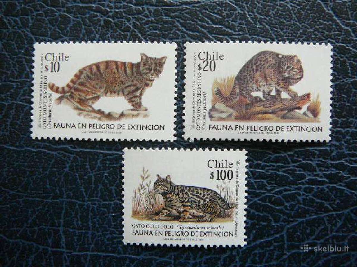 Kates laukines Cile svarus le396