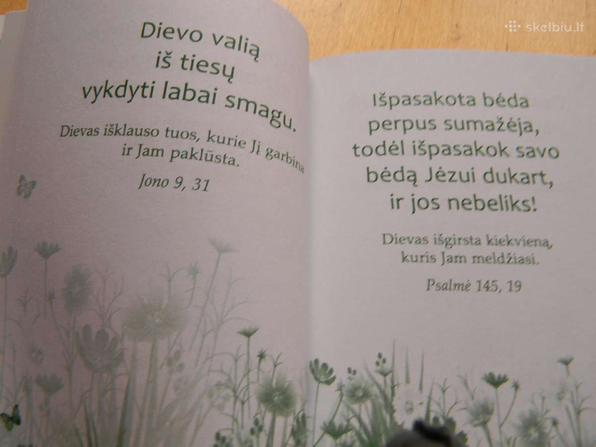 Tikybos vadovelis - nuotraukos Nr. 2