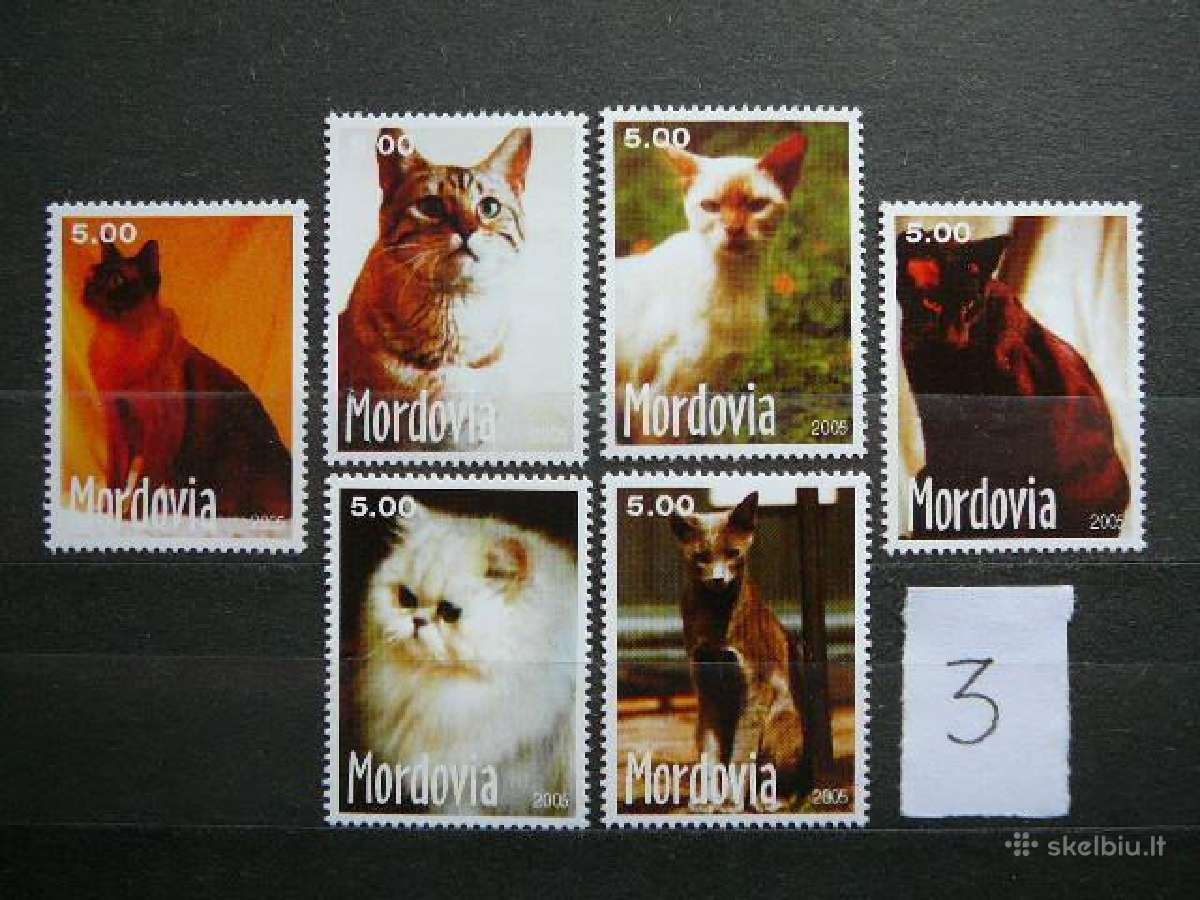 Kates 5 komplektai svarus cat237(1- 5) - nuotraukos Nr. 3