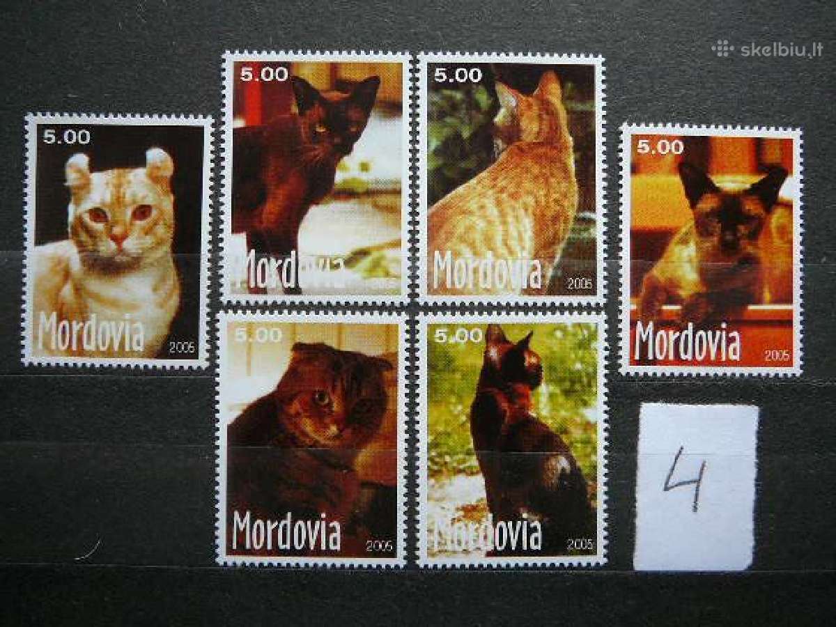 Kates 5 komplektai svarus cat237(1- 5) - nuotraukos Nr. 4