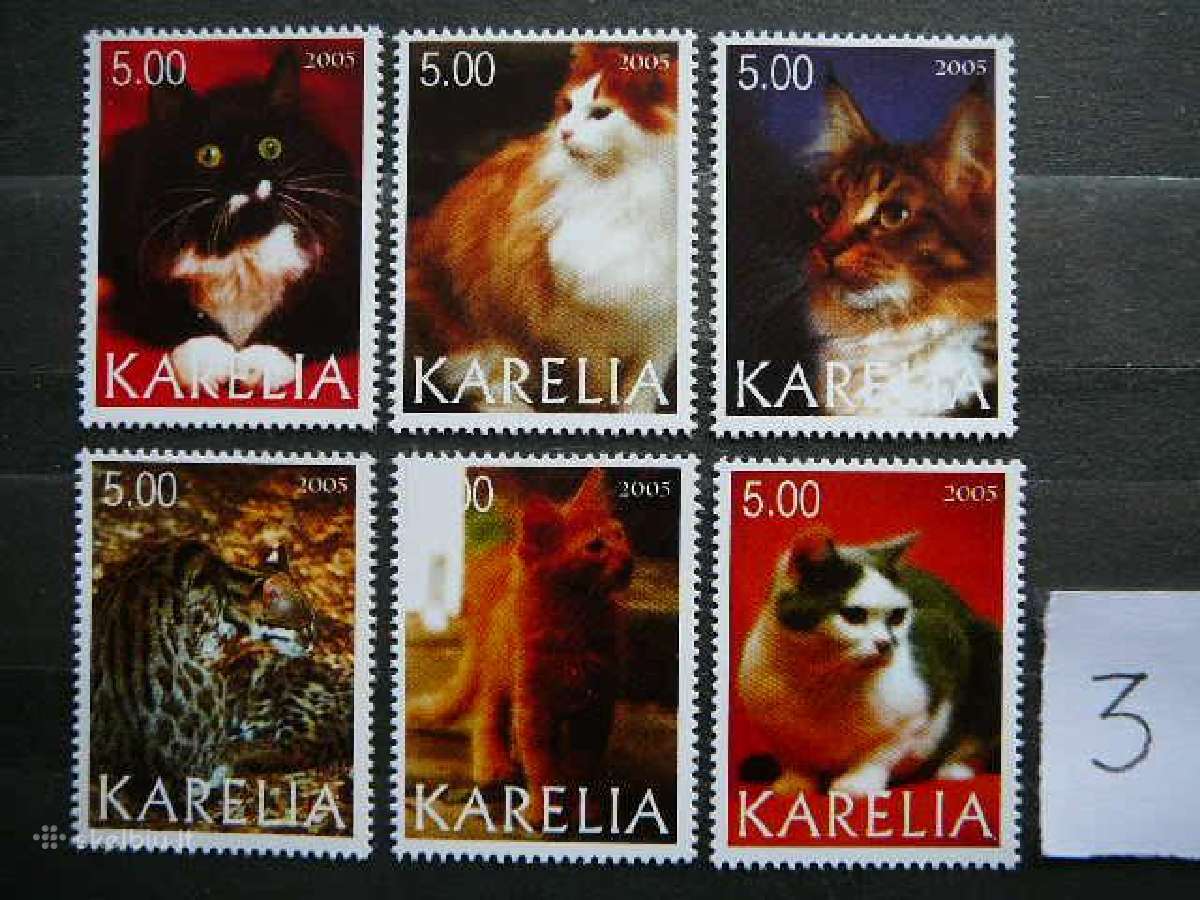 Kates 5 komplektai svarus cat238(1- 5) - nuotraukos Nr. 3