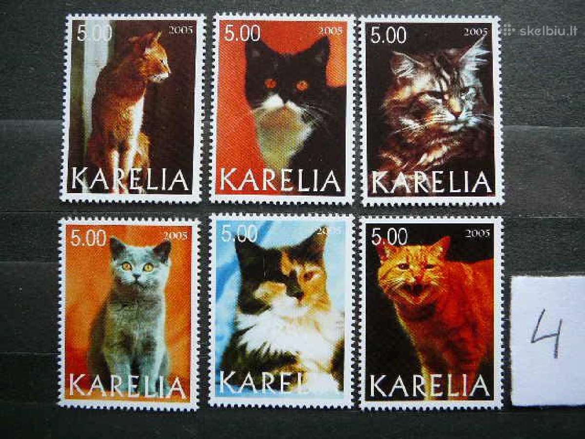Kates 5 komplektai svarus cat238(1- 5) - nuotraukos Nr. 4