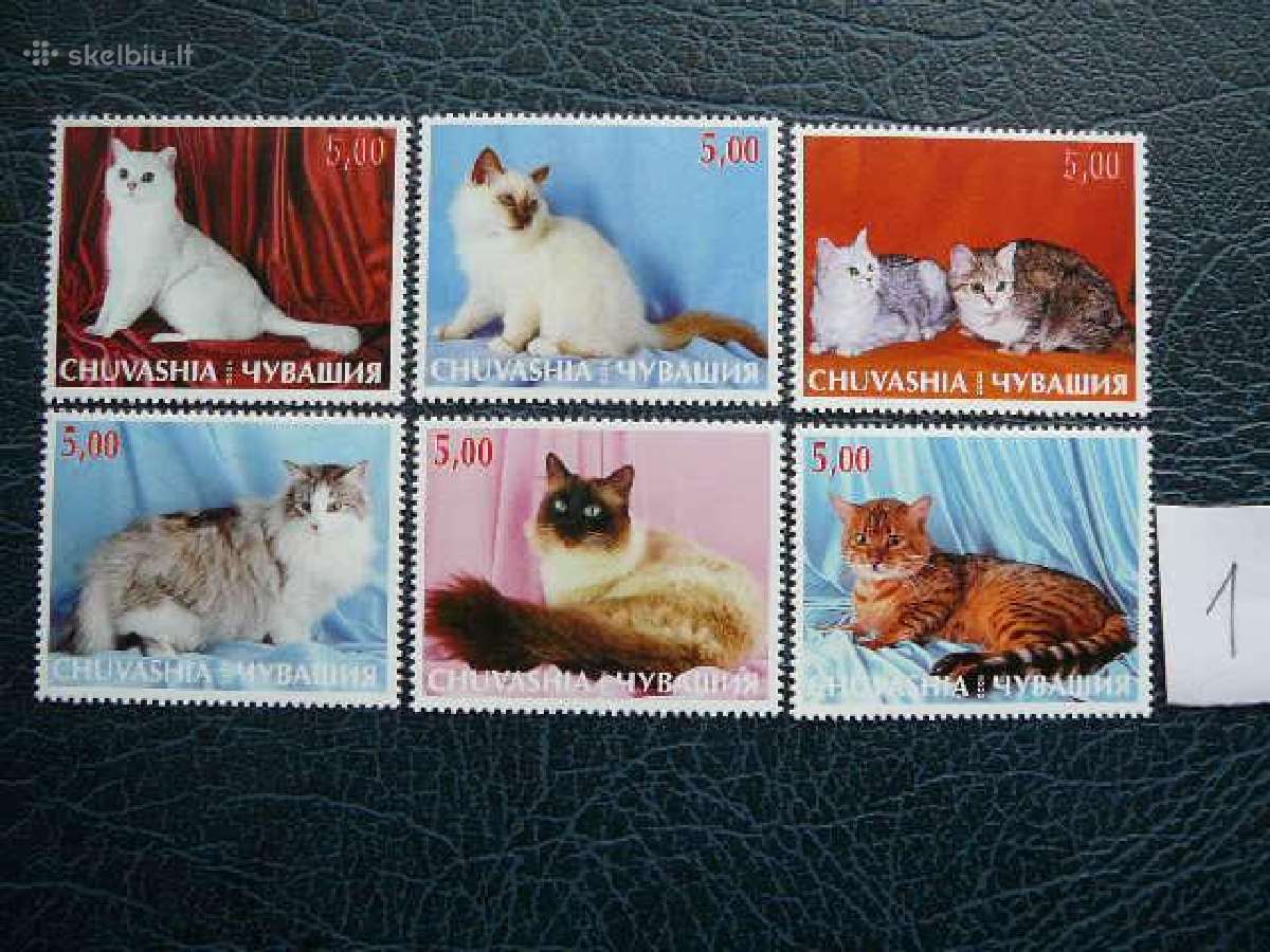Kates 5 komplektai svarus cat240(1- 5)