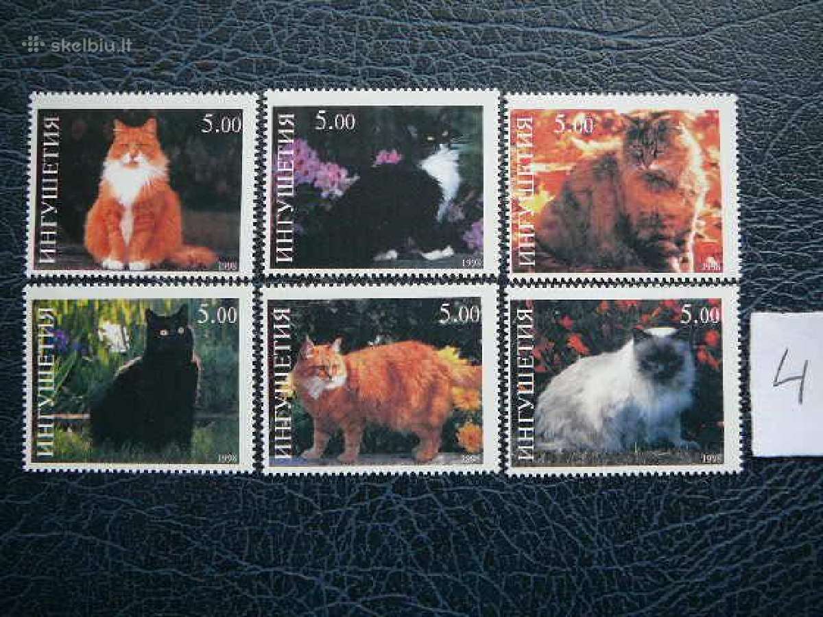 Kates 5 komplektai svarus cat240(1- 5) - nuotraukos Nr. 4