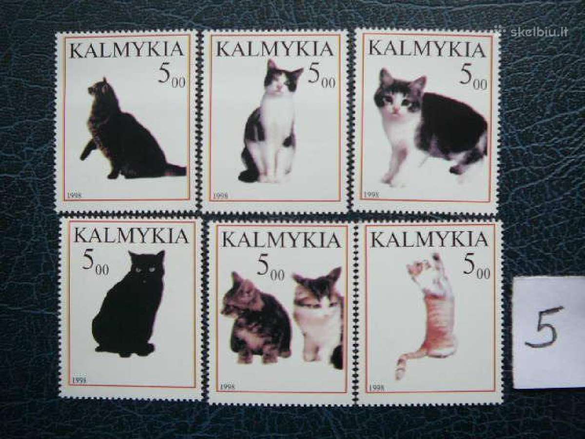 Kates 5 komplektai svarus cat240(1- 5) - nuotraukos Nr. 5