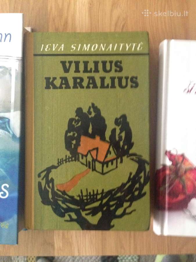 Knyga: Ieva Simonaitytė "Vilius Karalius"
